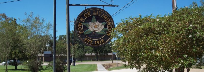 Best Shower Remodeling pros in Magnolia, TX