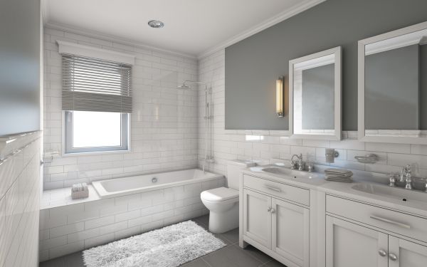 Cost of Restroom Remodeling in Tomball